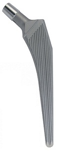 Muller_Straigt_Stem_Standard_small.jpg